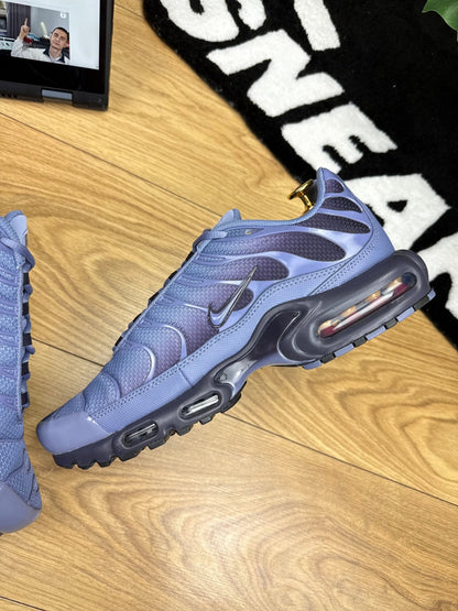 Nike Air Max Plus (45.5)
