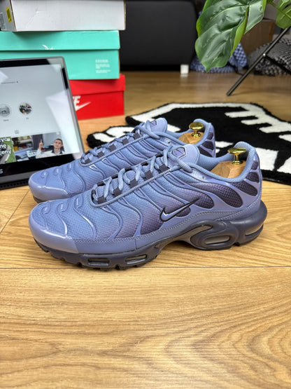 Nike Air Max Plus (45.5)