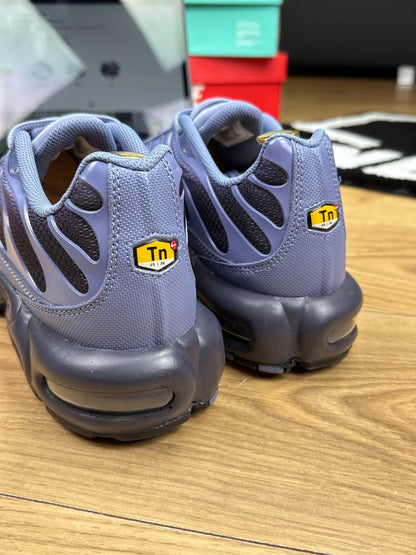 Nike Air Max Plus (45.5)