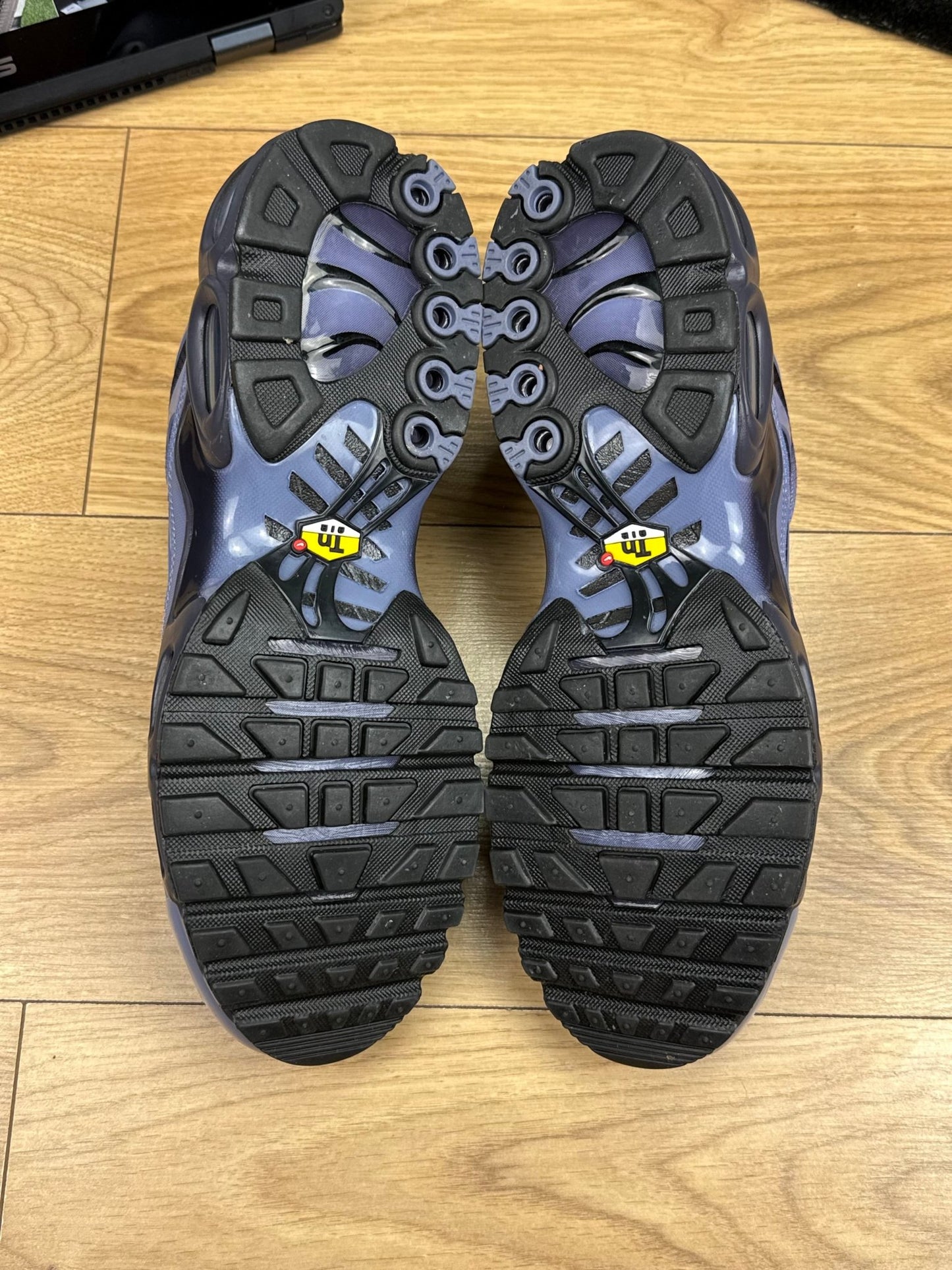 Nike Air Max Plus (45.5)