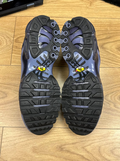 Nike Air Max Plus (45.5)
