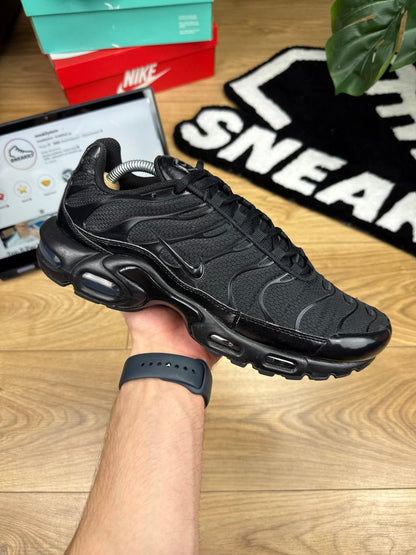 Nike Air Max Plus (44)