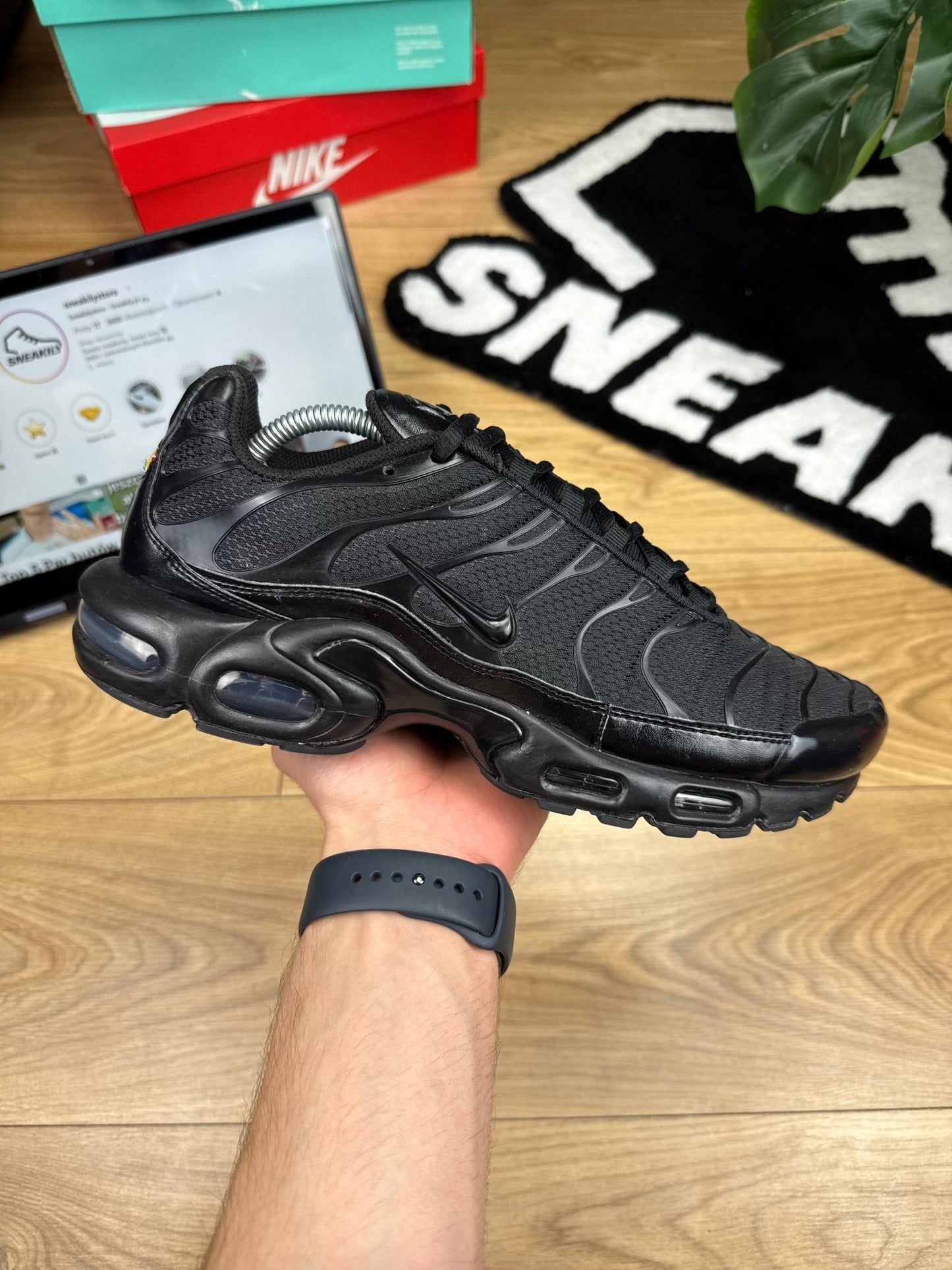 Nike Air Max Plus (44)