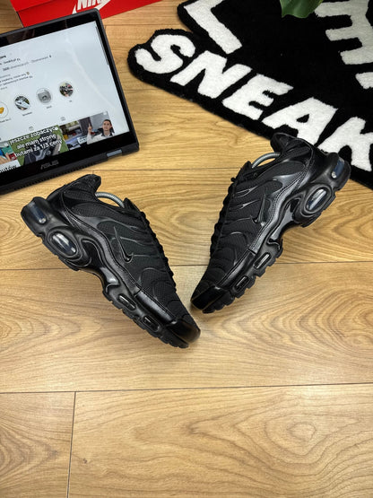 Nike Air Max Plus (44)
