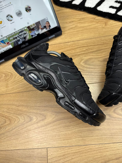 Nike Air Max Plus (44)