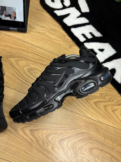 Nike Air Max Plus (44)
