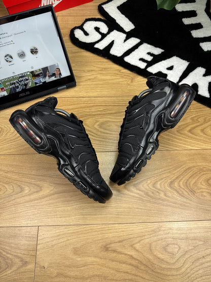 Nike Air Max Plus (44)
