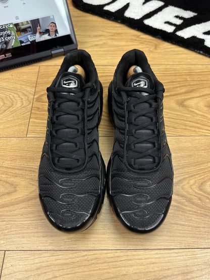 Nike Air Max Plus (44)