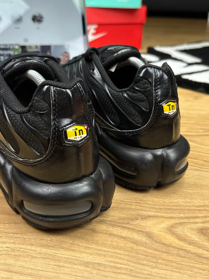 Nike Air Max Plus (44)
