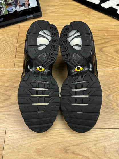Nike Air Max Plus (44)