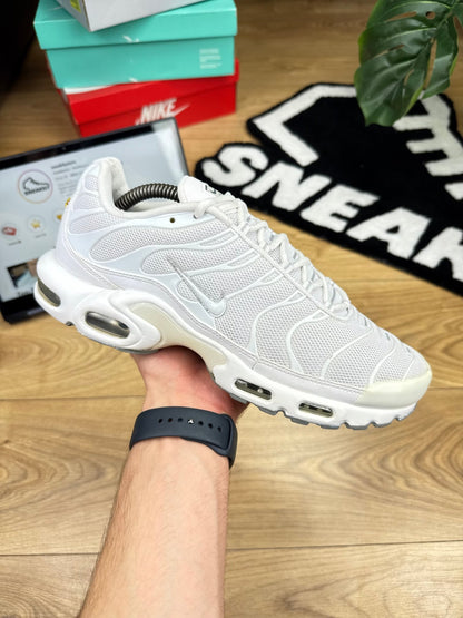 Nike Air Max Plus (44)