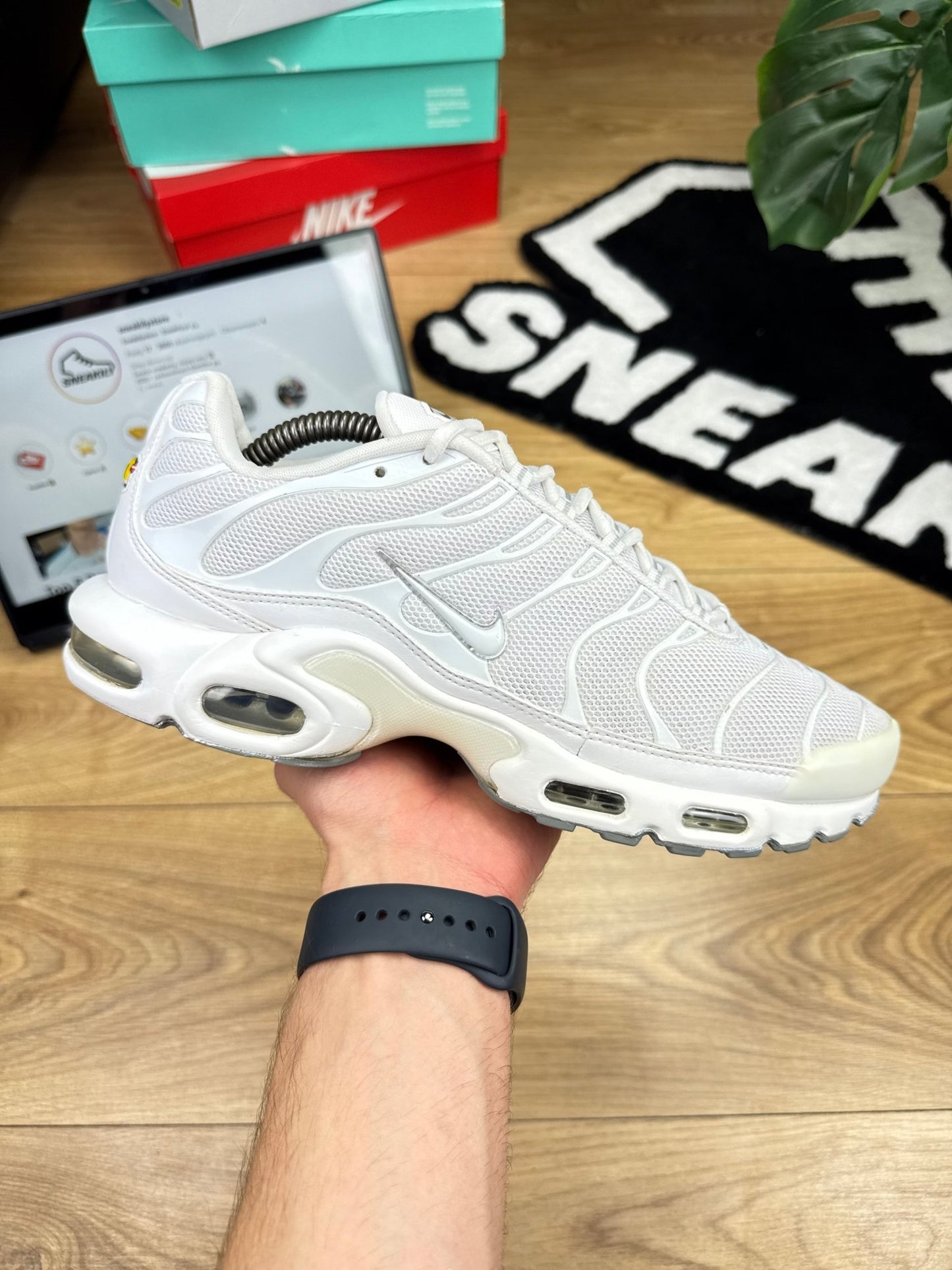 Nike Air Max Plus (44)