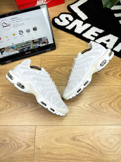 Nike Air Max Plus (44)
