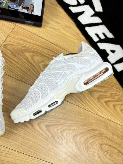 Nike Air Max Plus (44)