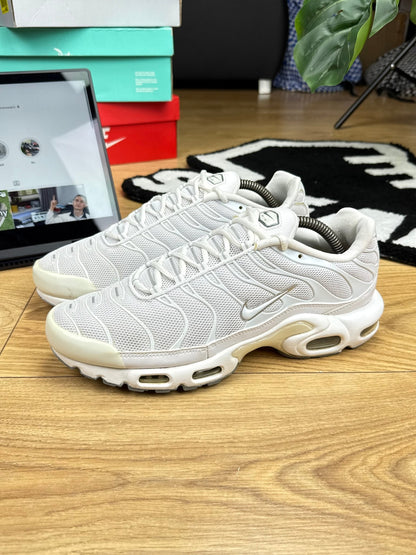 Nike Air Max Plus (44)