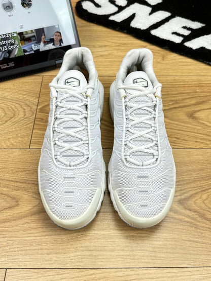 Nike Air Max Plus (44)
