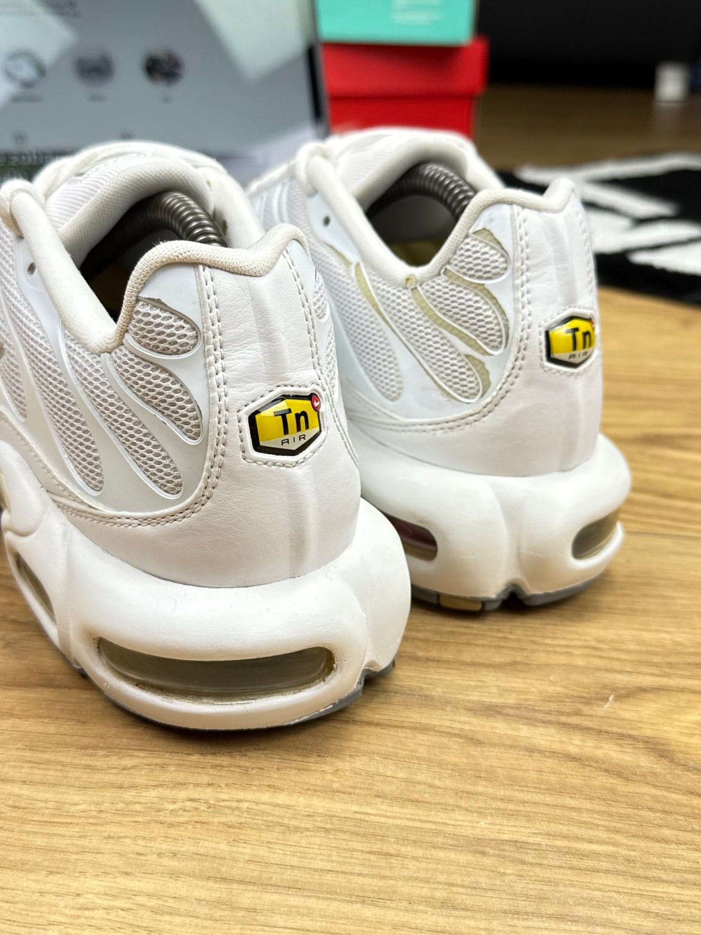 Nike Air Max Plus (44)