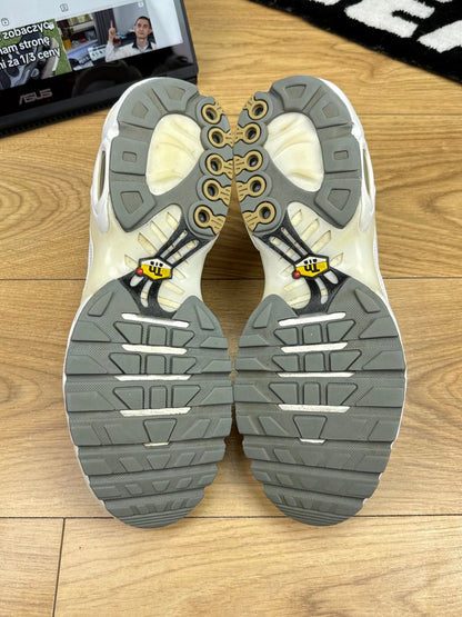 Nike Air Max Plus (44)