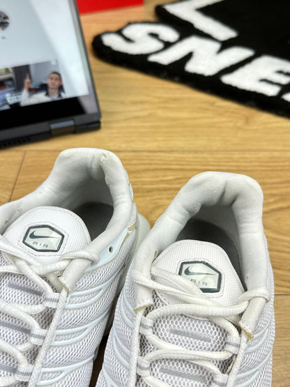 Nike Air Max Plus (44)