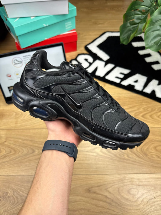 Nike Air Max Plus (46)