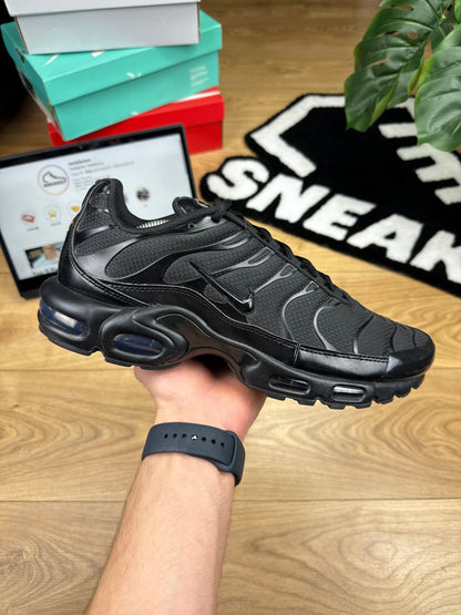 Nike Air Max Plus (46)