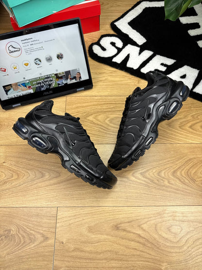 Nike Air Max Plus (46)