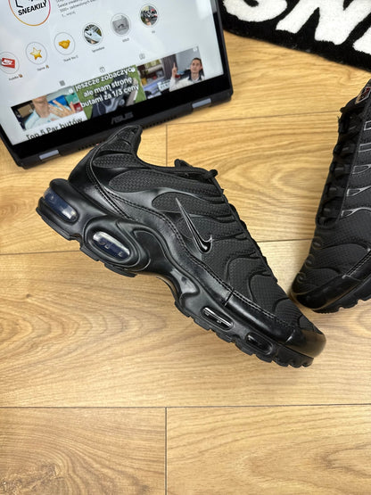 Nike Air Max Plus (46)