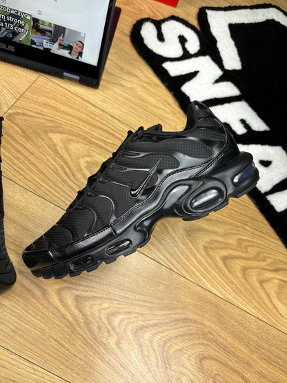 Nike Air Max Plus (46)