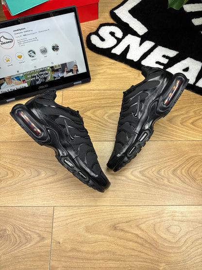 Nike Air Max Plus (46)
