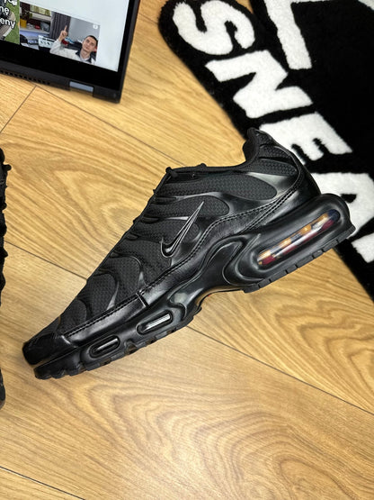 Nike Air Max Plus (46)
