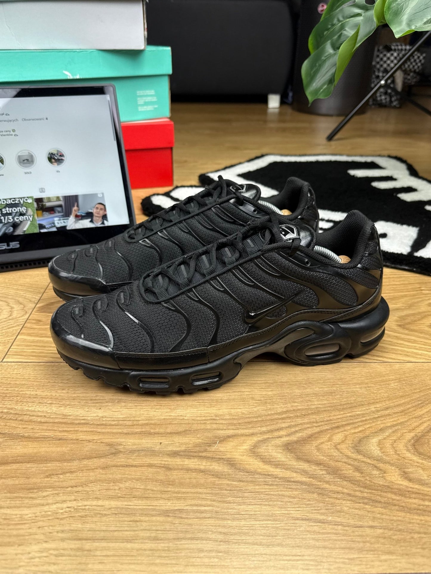 Nike Air Max Plus (46)