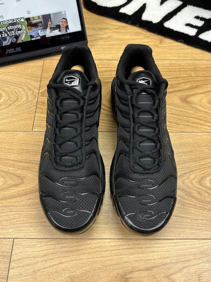 Nike Air Max Plus (46)