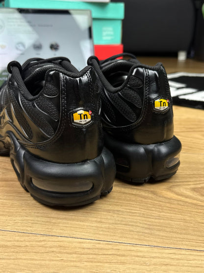 Nike Air Max Plus (46)