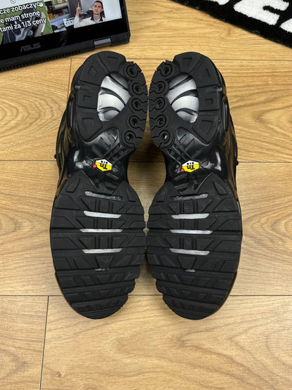 Nike Air Max Plus (46)