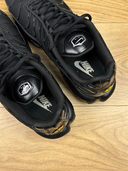 Nike Air Max Plus (46)