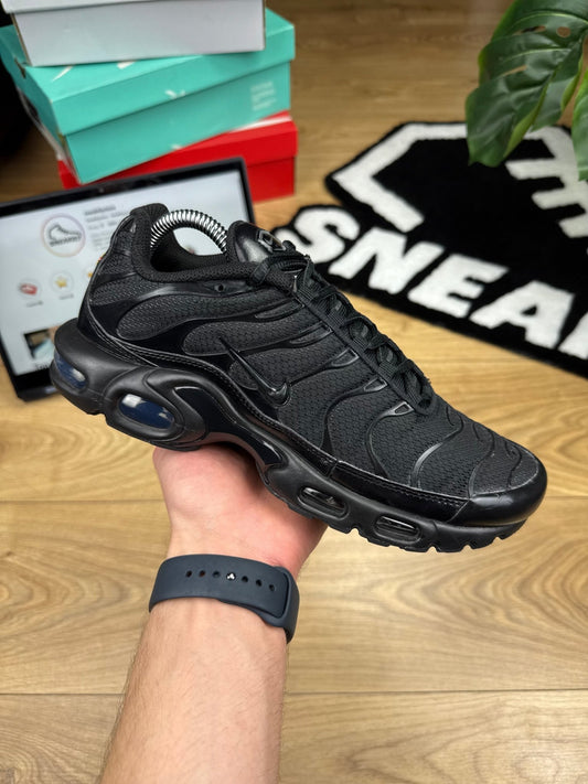 Nike Air Max Plus (41)