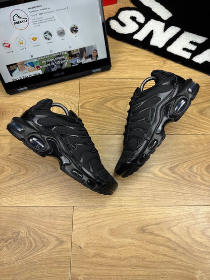 Nike Air Max Plus (41)