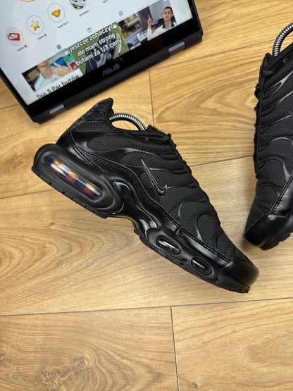 Nike Air Max Plus (41)