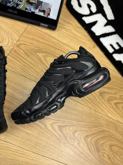 Nike Air Max Plus (41)
