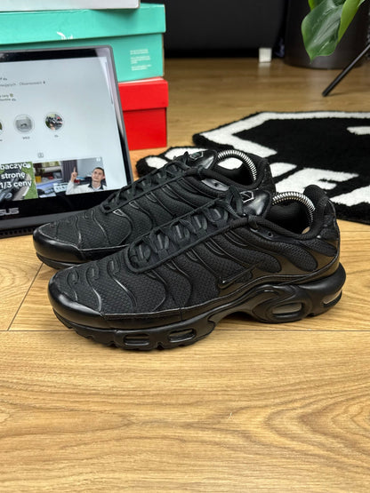 Nike Air Max Plus (41)