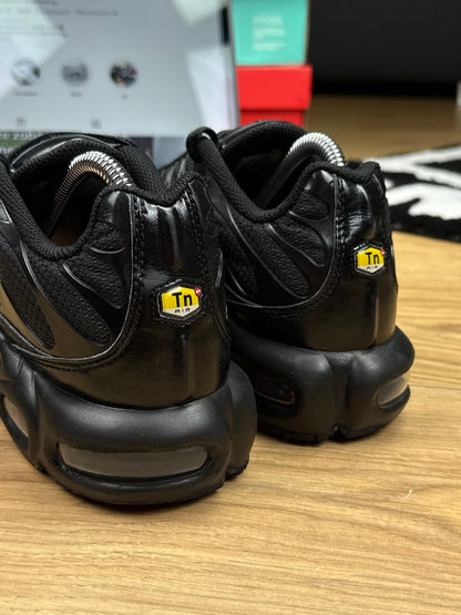 Nike Air Max Plus (41)