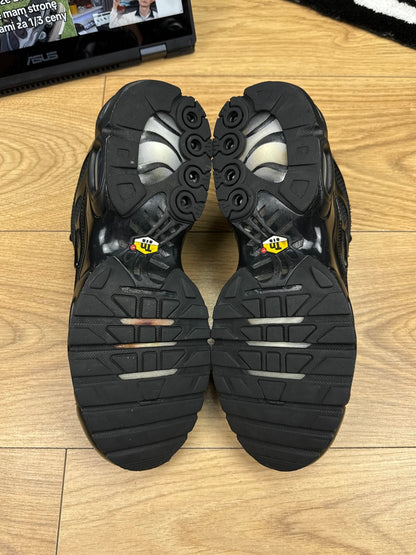 Nike Air Max Plus (41)