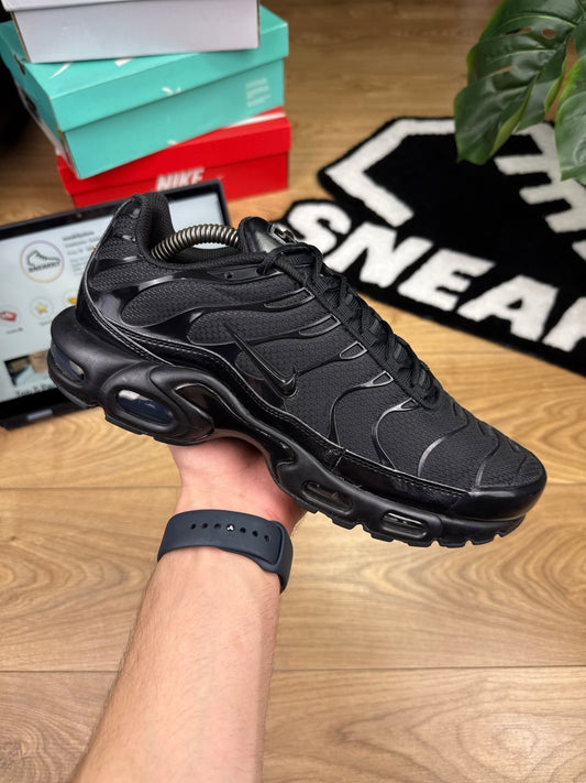 Nike Air Max Plus (44)