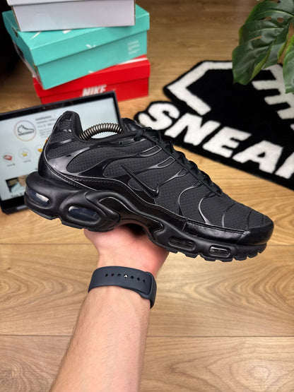Nike Air Max Plus (44)
