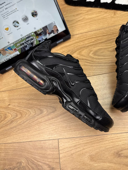 Nike Air Max Plus (44)