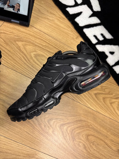 Nike Air Max Plus (44)