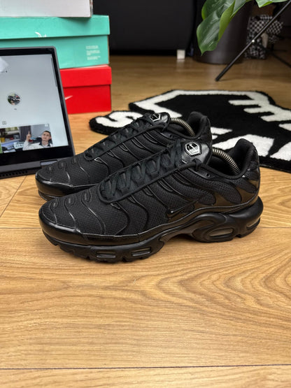 Nike Air Max Plus (44)