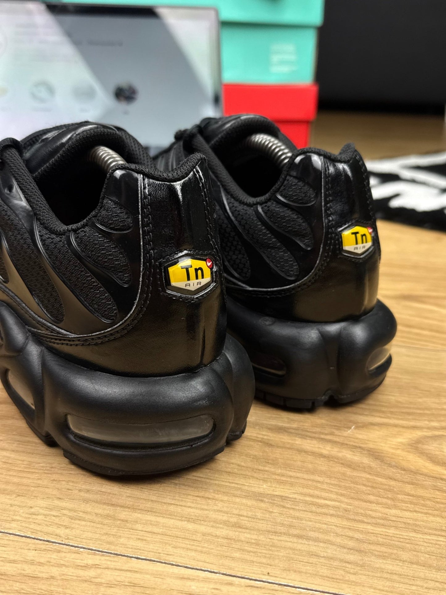 Nike Air Max Plus (44)