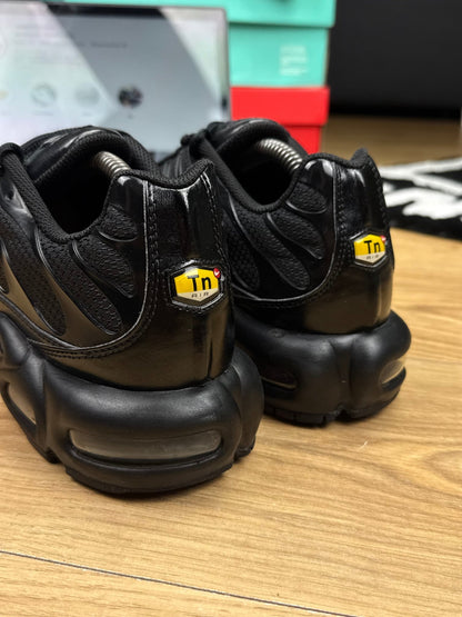 Nike Air Max Plus (44)