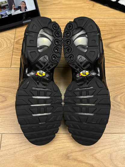Nike Air Max Plus (44)